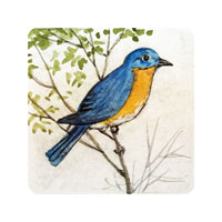 Struna Galleries of Brewster and Chatham, Cape Cod Original Copper Plate Engravings  - Purchase this *Bluebird Online!
