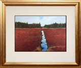 Struna Galleries of Cape Cod Offset Reproductions  - Purchase this Bogscape Online!