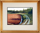 Struna Galleries of Cape Cod Offset Reproductions  - Purchase this Bogs Edge Online!
