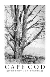 Struna Galleries of Cape Cod Offset Reproductions  - Purchase this *Cape Cod - Tree Online!