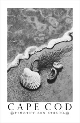Struna Galleries of Cape Cod Offset Reproductions  - Purchase this *Cape Cod - Shell Study Online!