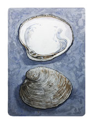 Struna Galleries of Brewster and Chatham, Cape Cod Original Copper Plate Engravings  - Purchase this Clam - Blue Online!