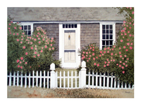 Struna Galleries of Brewster and Chatham, Cape Cod Giclee Reproductions  - Purchase this Cottage Roses Online!