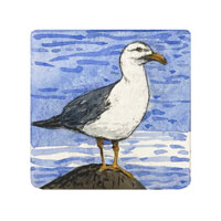 Struna Galleries of Brewster and Chatham, Cape Cod Original Copper Plate Engravings  - Purchase this Gull Online!