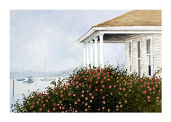 Struna Galleries of Cape Cod Giclee Reproductions  - Purchase this Harbor Roses Online!