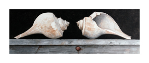 Struna Galleries of Cape Cod Giclee Reproductions  - Purchase this In and Out Online!