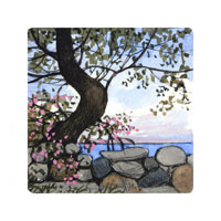 Struna Galleries of Cape Cod Original Copper Plate Engravings  - Purchase this Island Walls Online!