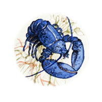 Struna Galleries of Cape Cod Original Copper Plate Engravings  - Purchase this Blue Lobster - Artist Proof Online!
