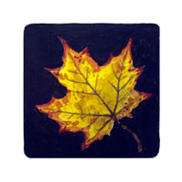 Struna Galleries of Cape Cod Original Copper Plate Engravings  - Purchase this Sugar Maple Online!