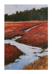 Struna Galleries of Cape Cod Giclee Reproductions  - Purchase this March Bog Online!