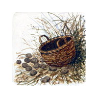Struna Galleries of Cape Cod Original Copper Plate Engravings  - Purchase this One Potato Two Online!