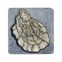 Struna Galleries of Cape Cod Original Copper Plate Engravings  - Purchase this Oyster I - blue Online!