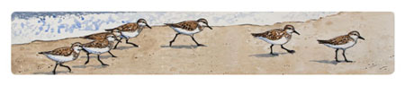 Struna Galleries of Brewster and Chatham, Cape Cod Original Copper Plate Engravings  - Purchase this Sanderlings Online!