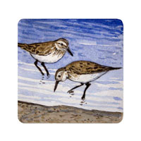 Struna Galleries of Cape Cod Original Copper Plate Engravings  - Purchase this *Sandpiper Online!
