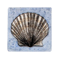 Struna Galleries of Cape Cod Original Copper Plate Engravings  - Purchase this *Scallop - Blue Online!