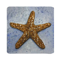 Struna Galleries of Cape Cod Original Copper Plate Engravings  - Purchase this *Sea Star - blue Online!