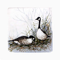 Struna Galleries of Cape Cod Original Copper Plate Engravings  - Purchase this Two Of Us Online!