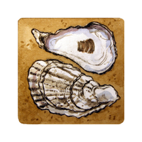 Struna Galleries of Cape Cod Original Copper Plate Engravings  - Purchase this Oyster - Artist Proof Online!