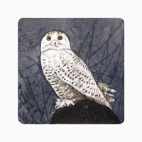 Struna Galleries of Brewster and Chatham, Cape Cod Original Copper Plate Engravings  - Purchase this Snowy Owl Online!