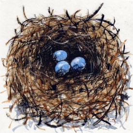 Nest Nest