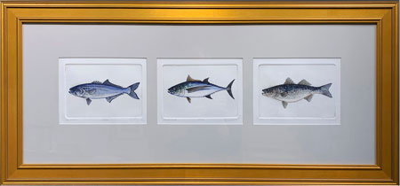 Struna Galleries of Brewster and Chatham, Cape Cod Original Copper Plate Engravings  - Purchase this *Custom Three Fish Grouping Online!