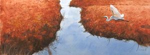 Struna Galleries of Brewster and Chatham, Cape Cod Watercolor Paintings of New England and Cape Cod