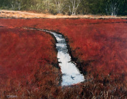 Struna Galleries of Brewster and Chatham, Cape Cod Acrylic Paintings of New England and Cape Cod