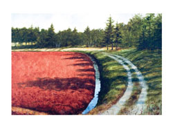 Struna Galleries of Brewster and Chatham, Cape Cod Giclee Reproductions  - Purchase this Bogs Edge Online!