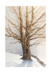 Struna Galleries of Brewster and Chatham, Cape Cod Giclee Reproductions  - Purchase this Bound Brook Online!