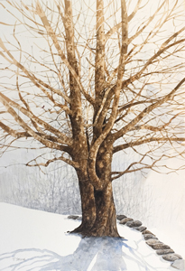 Struna Galleries of Brewster and Chatham, Cape Cod Watercolor Paintings of New England and Cape Cod