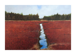 Struna Galleries of Brewster and Chatham, Cape Cod Giclee Reproductions  - Purchase this Bogscape Online!