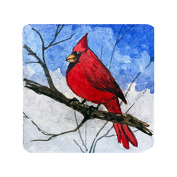  Store - *Cardinal