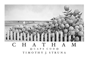  Store - View a larger image of this Chatham Poster -  Hydrangeas