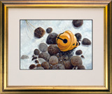Struna Galleries of Brewster and Chatham, Cape Cod Offset Reproductions  - Purchase this Christmas Bell Online!