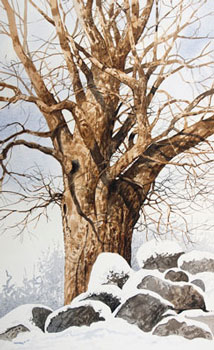 Struna Galleries of Brewster and Chatham, Cape Cod Paintings of New England and Cape Cod
