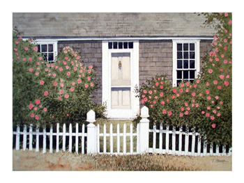  Store - View a larger image of this Cottage Roses