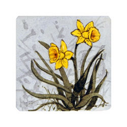  Store - Daffodil