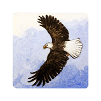 Struna Galleries of Brewster and Chatham, Cape Cod Original Copper Plate Engravings  - Purchase this Eagle Online!