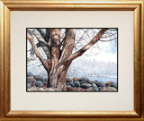 Struna Galleries of Brewster and Chatham, Cape Cod Offset Reproductions  - Purchase this Fallen Leaves, Fallen Walls Online!