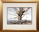 Struna Galleries of Brewster and Chatham, Cape Cod Offset Reproductions  - Purchase this *Fishing Cape Cod Online!