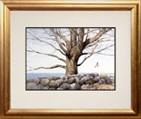 Struna Galleries of Brewster and Chatham, Cape Cod Bookshelf and Notecard Offset Reproductions