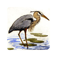 Struna Galleries of Brewster and Chatham, Cape Cod Original Copper Plate Engravings  - Purchase this Great Blue Heron Online!