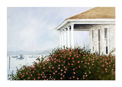 Struna Galleries of Brewster and Chatham, Cape Cod Giclee Reproductions  - Purchase this Harbor Roses Online!