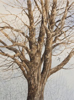 Struna Galleries of Brewster and Chatham, Cape Cod Paintings of New England and Cape Cod