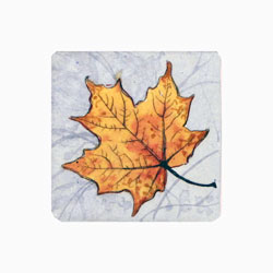  Store - Maple Leaf 2