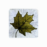 Struna Galleries of Brewster and Chatham, Cape Cod Original Copper Plate Engravings  - Purchase this Maple Leaf Online!