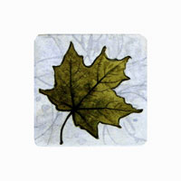 Struna Galleries of Brewster and Chatham, Cape Cod Original Copper Plate Engravings  - Purchase this Maple Leaf Online!