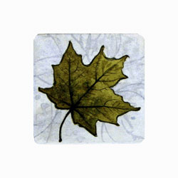  Store - Maple Leaf
