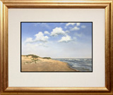 Struna Galleries of Brewster and Chatham, Cape Cod Bookshelf and Notecard Offset Reproductions