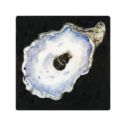  Store - *Oyster II - dark